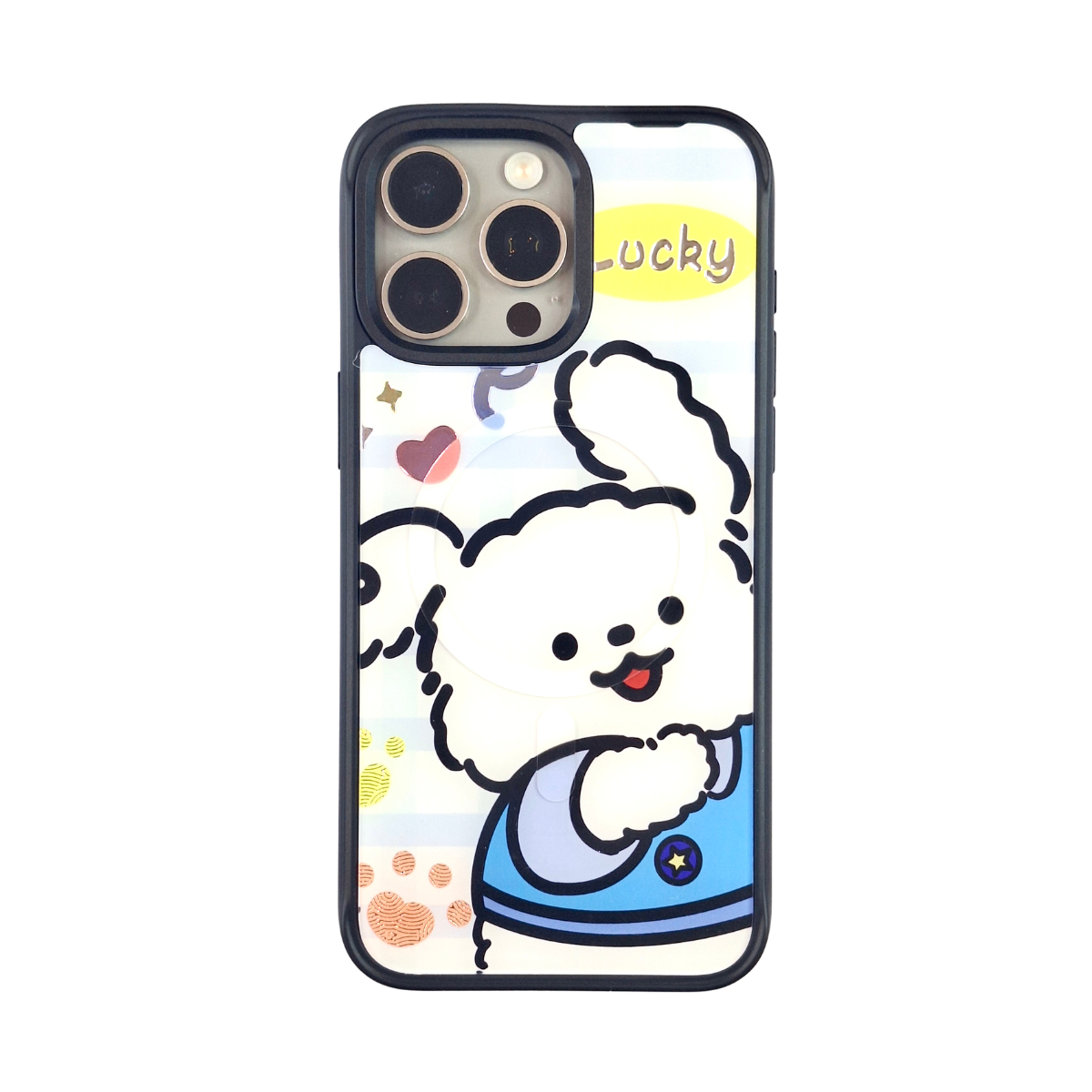Magnetic Swap Case